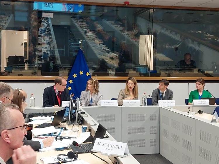 USA-UE, Giansanti: "Guardare al futuro dell'agricoltura consolidando la cooperazione economica"