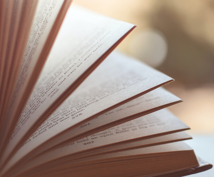 "L'ingegno e le tenebre"