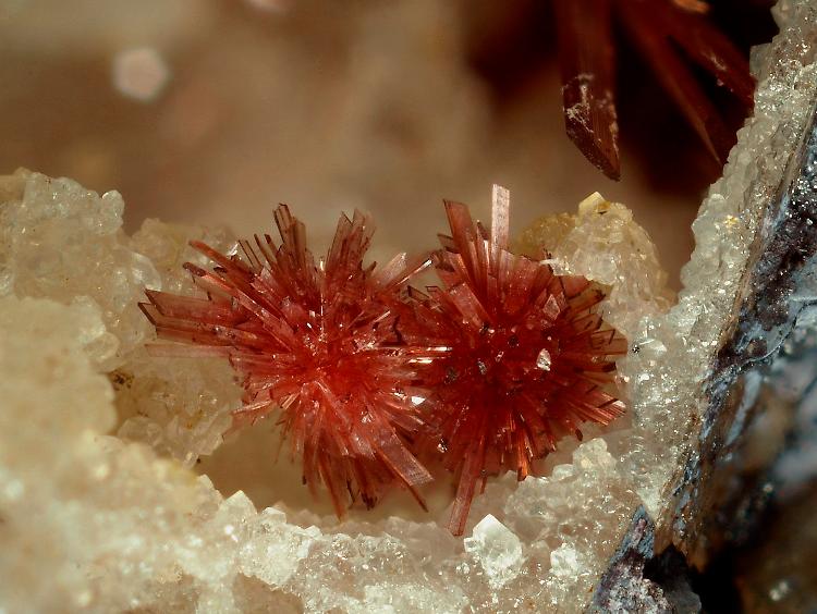 I fiori delle rocce: minerali l microscopio