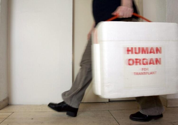 Trapianti, nel 2022 record di donazioni di organi, +3,7%