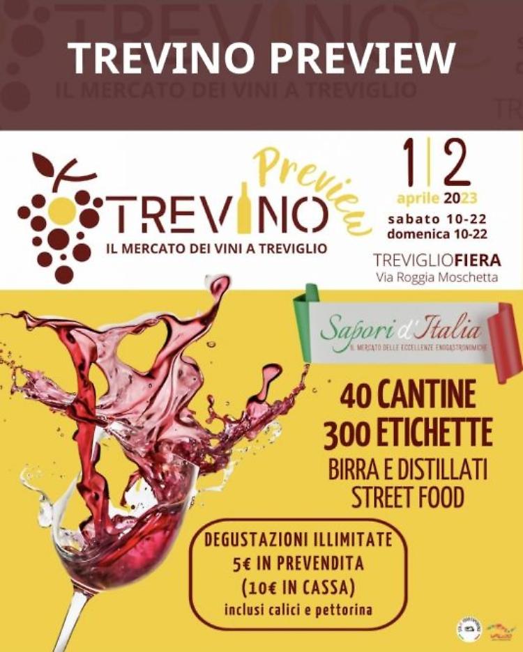 Il mercato dei vini "Trevino Preview"