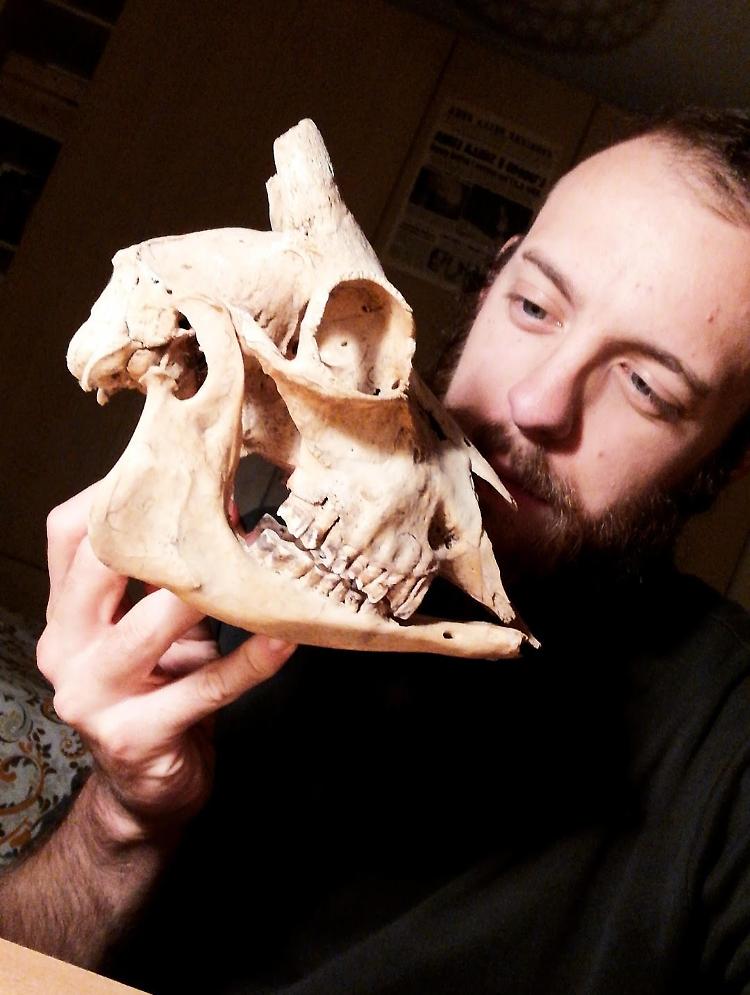 Mostra  Wunderkammer di Stefano Bragalini