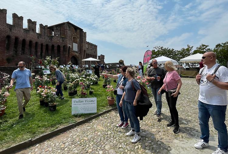 Il Borgo Fiorito conquista la città medievale