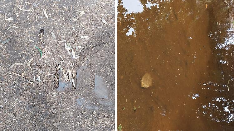 Temporale: tombini ostruiti in via Trebbia, e ora c'è il lago