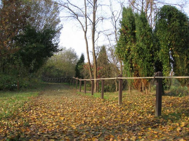 Apertura pomeridiana del Bosco Didattico