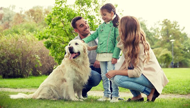 Giornata mondiale del cane: in Italia 14 milioni di 'Fido'