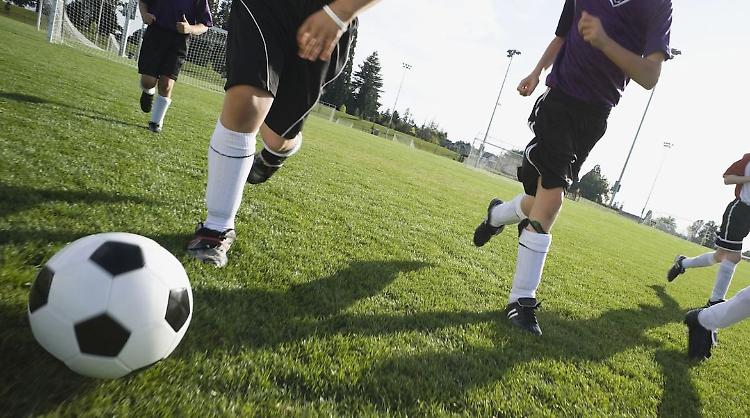 Nonna con Daspo a partita Pulcini, nessun insulto razzista