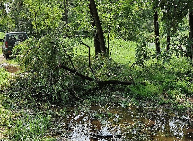 Nel Parco del Serio i sentieri tornano liberi