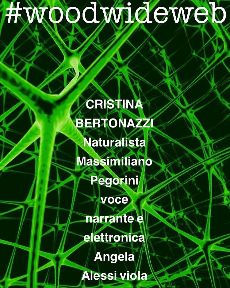#woodwideweb - Scopriamo il mondo delle piante e i loro metodi di comunicazione