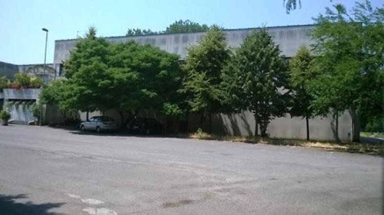 Basket: La Logiman torna a casa al PalaCremonesi