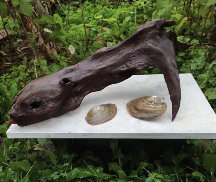 Fiera di San Carlo, all'Eridanea la mostra dei legni del Po