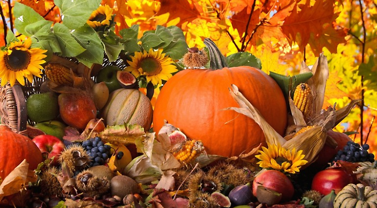 Festa d'autunno: gusto e solidarietà tra le delizie culinarie