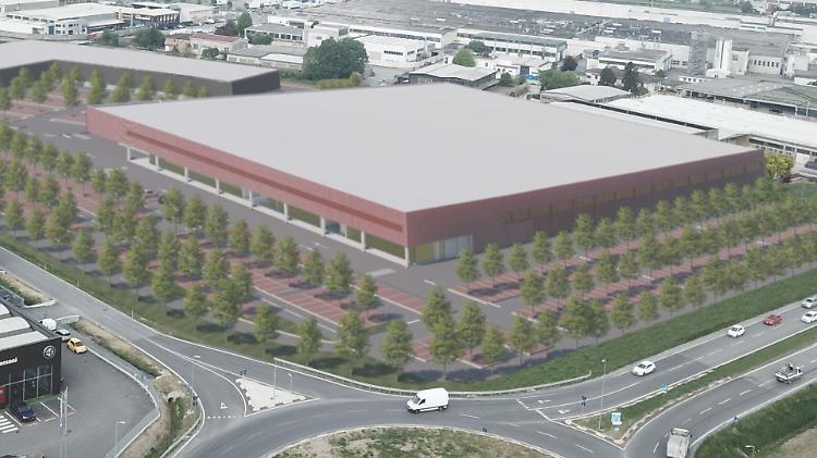 Maxi market nell'area di Cardaminopsis, ipotesi Tosano