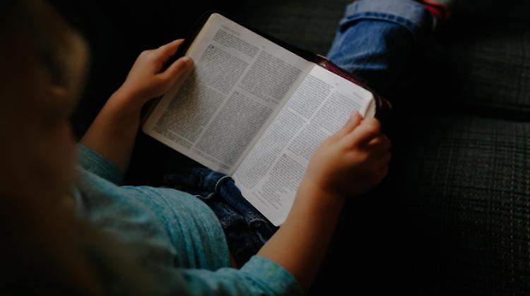 ''Federico e i suoi amici'': letture animate per bambini