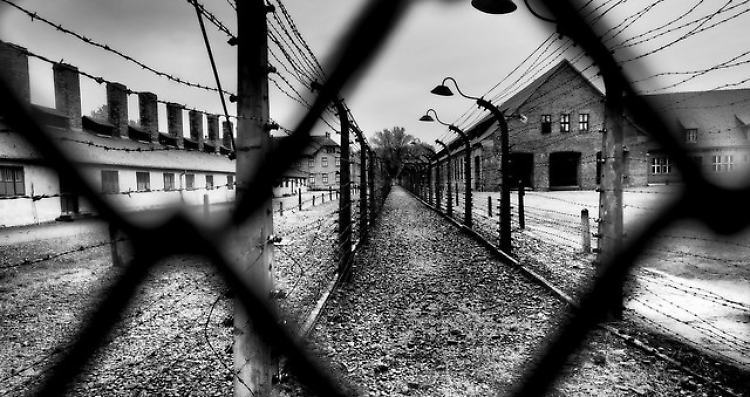 ''Per non dimenticare'': iniziative in occasione della giornata della memoria