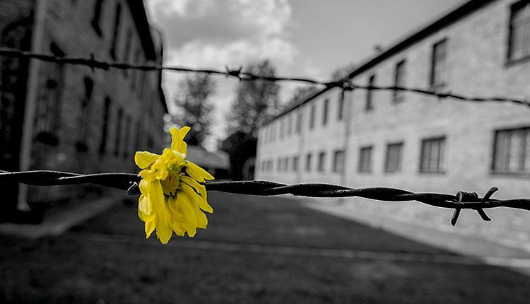 Giornata della memoria: filmati, inaugurazione della pietra di inciampo e letture