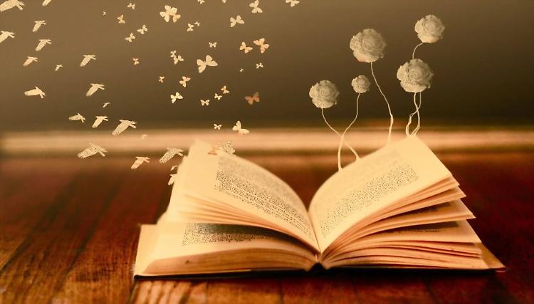 ''L'unico figlio di Anne Holt'': letture in biblioteca