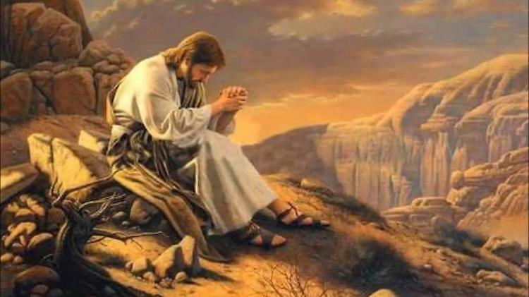 Quando il deserto è anche opportuno