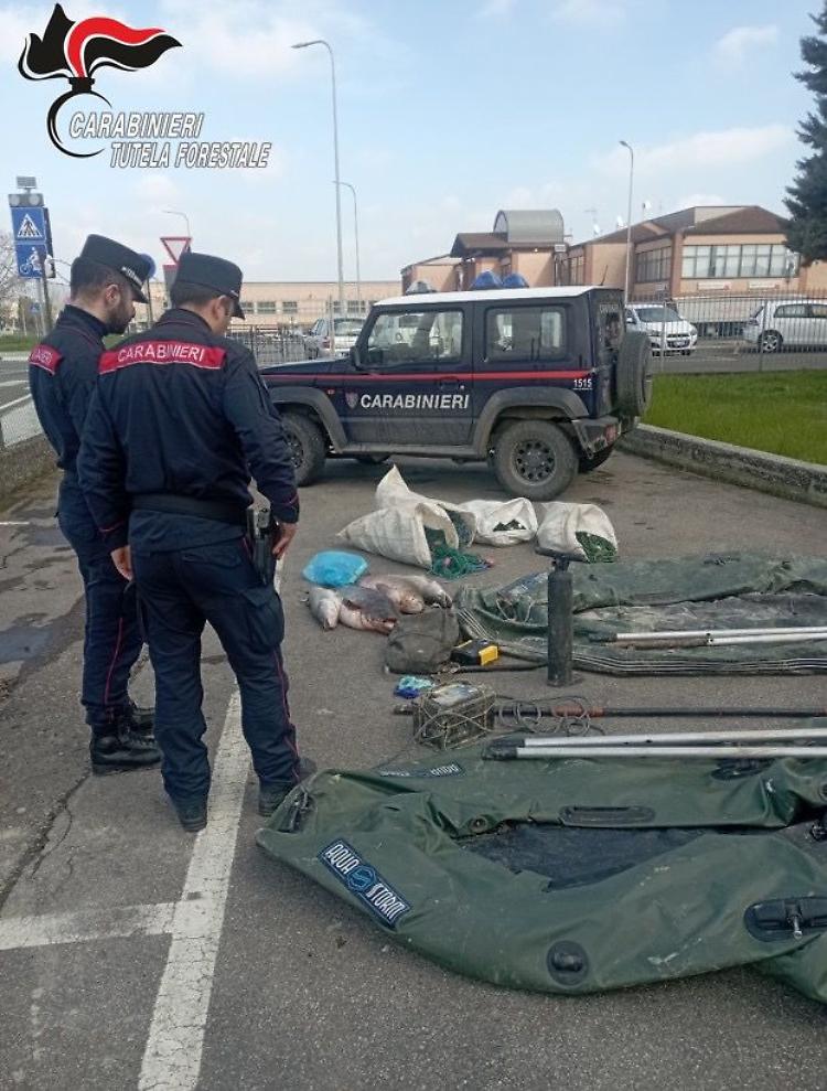 Pescatori  di frodo, intervento  dei Carabinieri Forestali  sul fiume Po