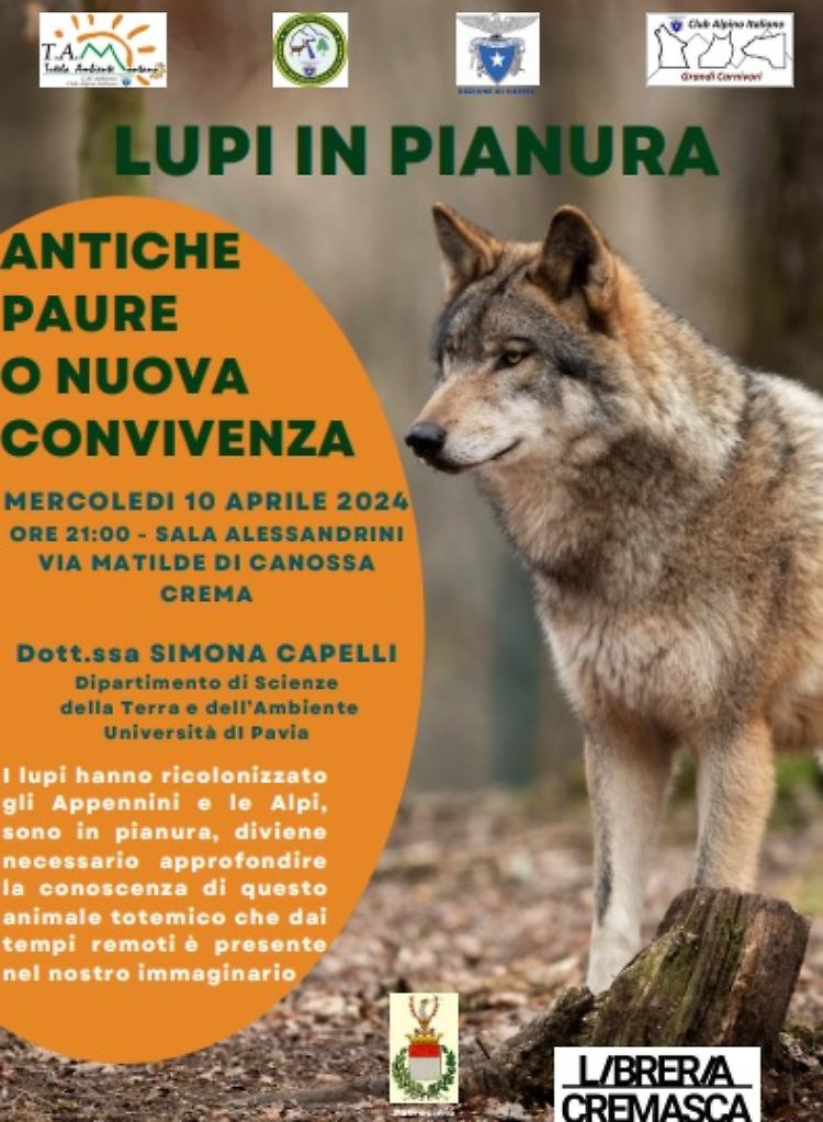Lupi in pianura: antiche paure o nuova convivenza