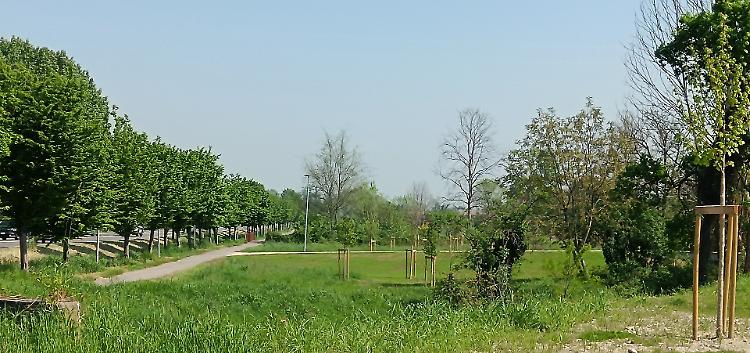 Pronto il parco della Gronda, è il più grande: ponte e sentieri