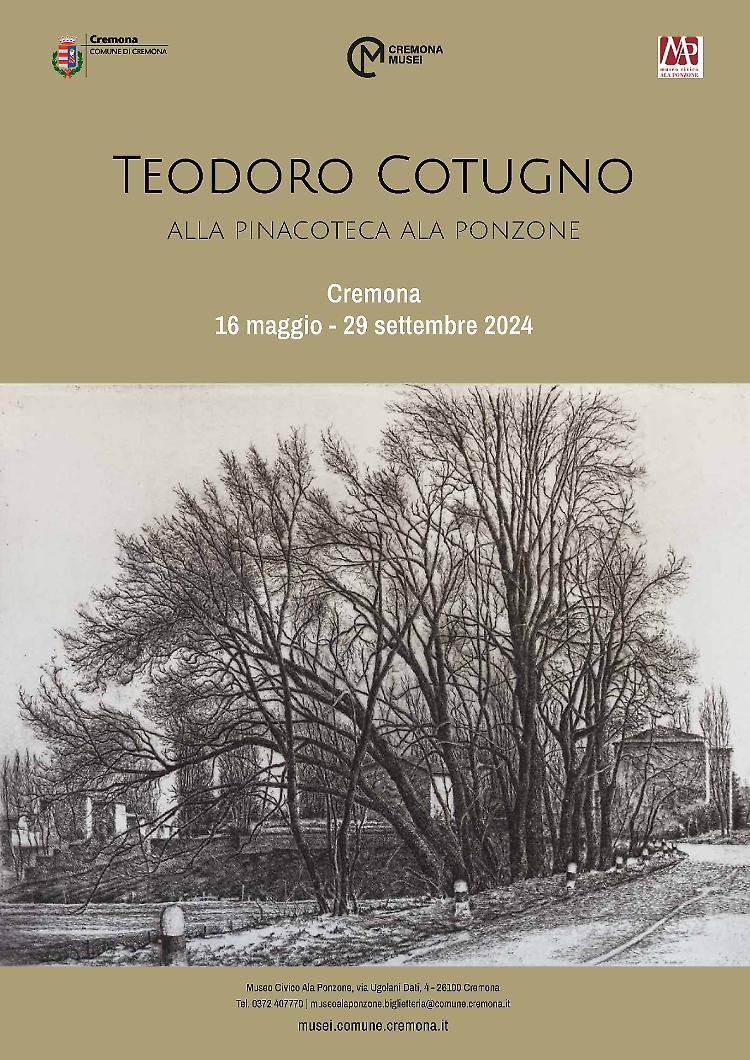Teodoro Cotugno - La donazione alla Pinacoteca Ala Ponzone