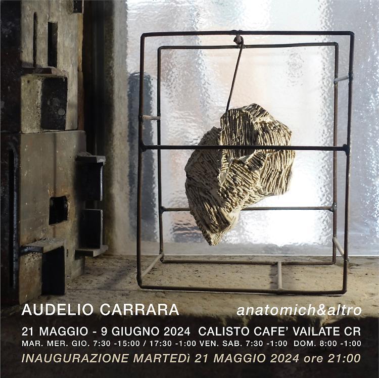 Audelio Carrara - Anatomich&altro