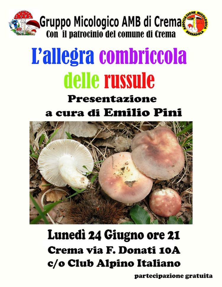 Serata con la micologia: le russole