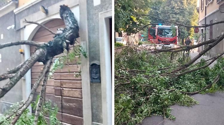Grosso ramo cade su un'abitazione: paura ma pericolo scampato