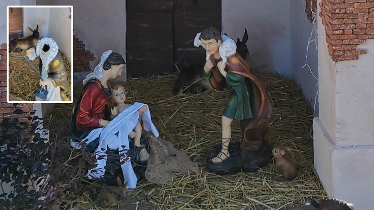 Il vandalo del preseio confessa e chiede scusa