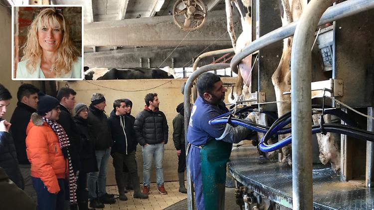 L’aula è in stalla per imparare sul campo