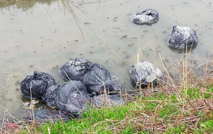 Fossi come discariche