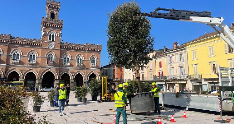 Listone in Fiore, allestita l&rsquo;aiuola-installazione