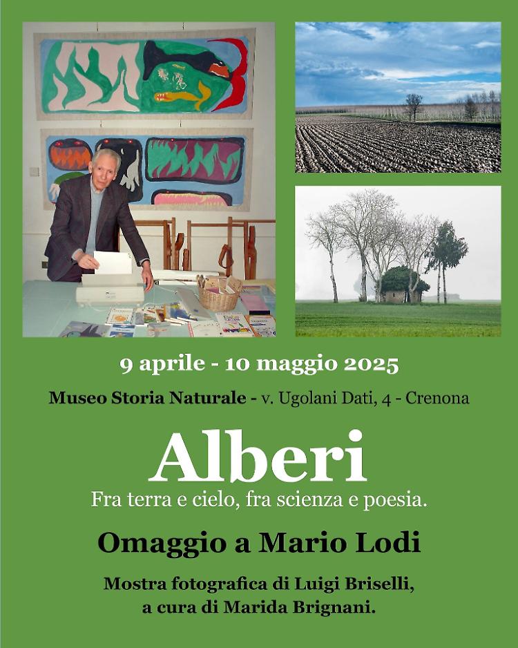 "Alberi" mostra fotografica in omaggio a Mario Lodi
