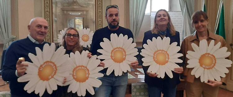 Le margherite un inno alla primavera