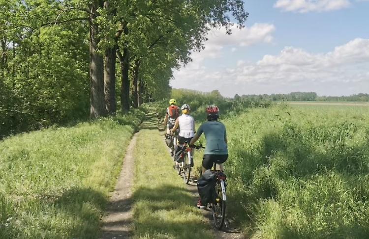 Boom del cicloturismo In sella tra Po e borghi