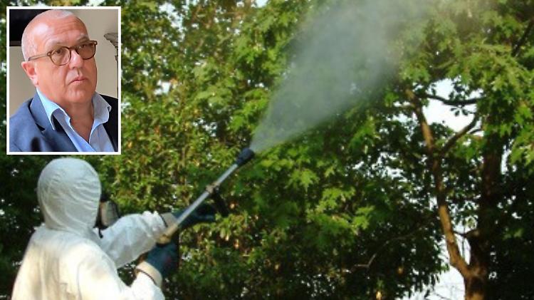 Lotta a topi e zanzare, un'estate di disinfestazioni