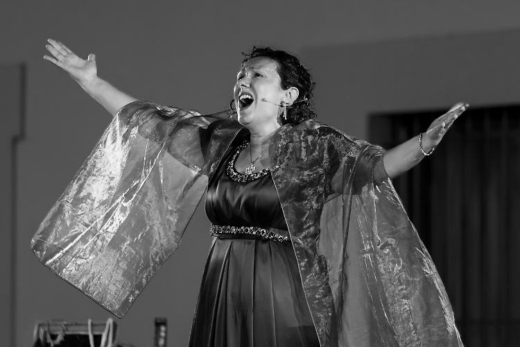 Spettacolo lirico teatrale "Violetta vuole vivere"