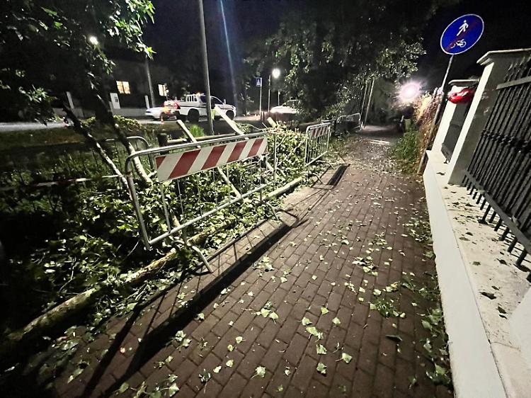 Danni per il maltempo, protezione civile in campo