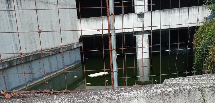 Ultimatum del Comune alla fabbrica di zanzare