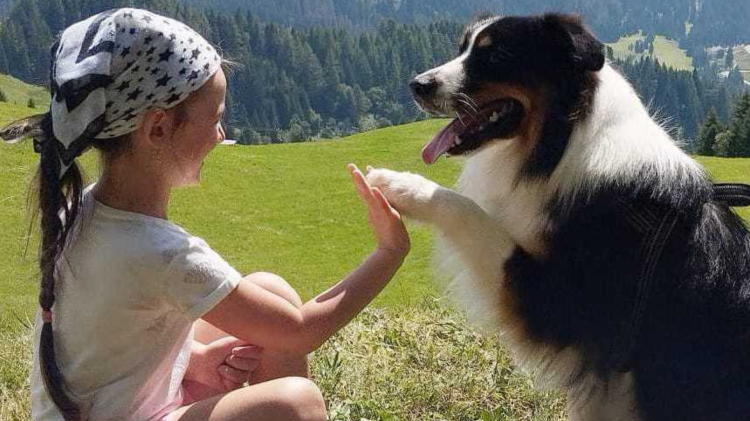 In vacanza con il mio pet: ecco il contest dell&rsquo;estate