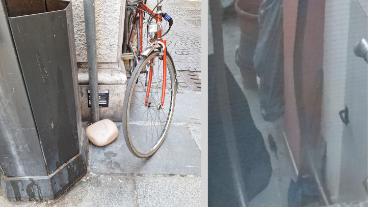 I topi invadono il centro: una distesa di trappole