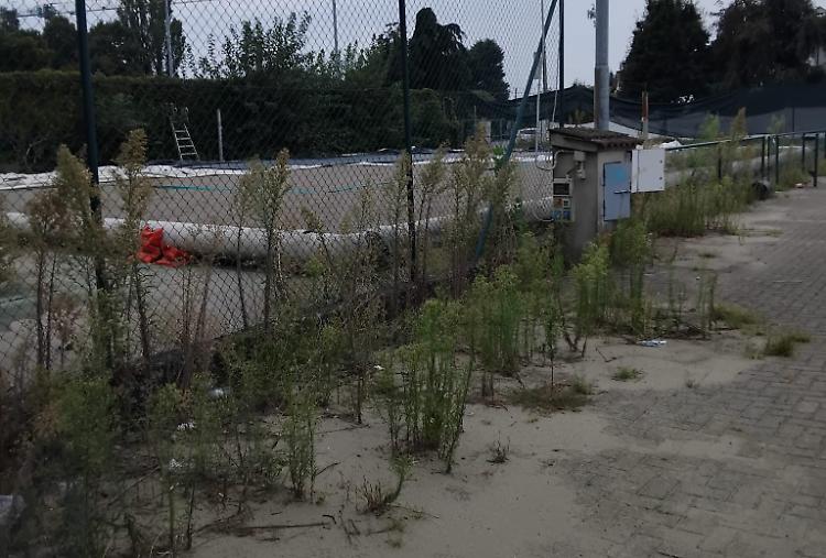 Campi sportivi nel degrado, la minoranza attacca la giunta