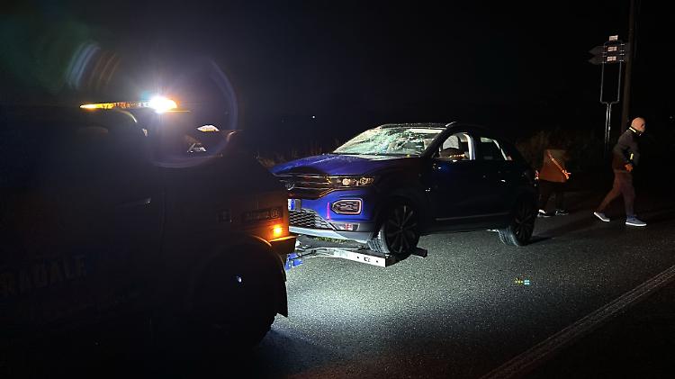 Scontro nella notte, due asini travolti e uccisi da un’auto
