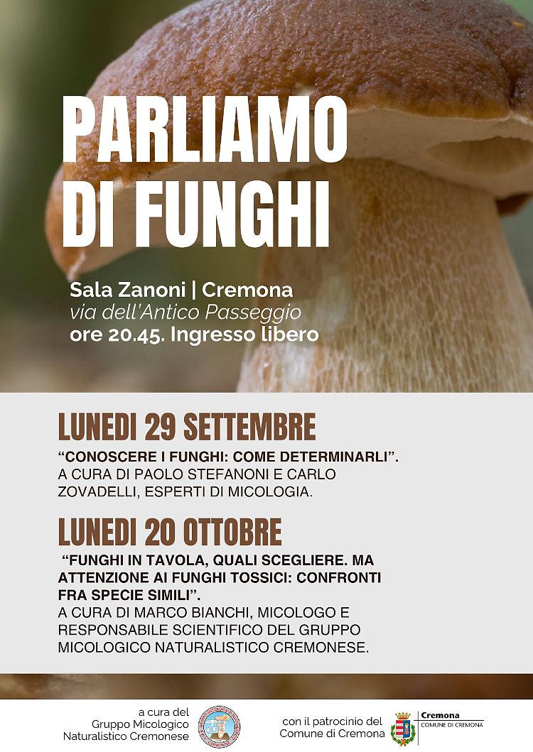 Conoscere i funghi: come determinarli