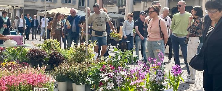 Fiori e sapori: il primo weekend di ottobre il centro si colora