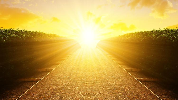 La lezione del lebbroso: gratitudine e riconoscenza