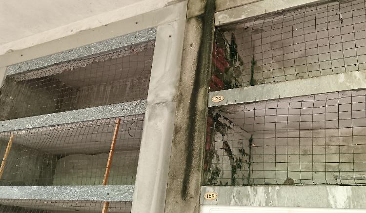 Super reti tra le lapidi per sfrattare i picconi