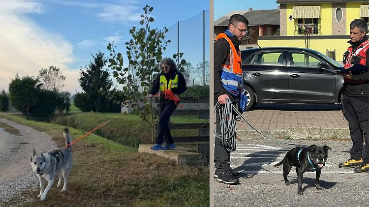 Fiuto per salvare: sfida tra cani da ricerca