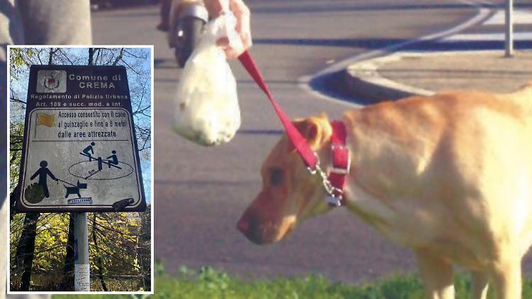Decoro: «Si faccia di più, non sporcano solo i cani»